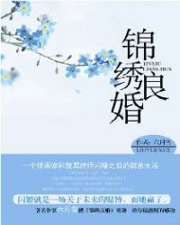 锦绣良婚乔浅初穆南烟