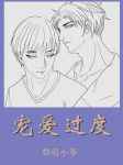 宠爱过度小说