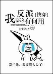 我要这反派有何用[快穿] 胡小湖