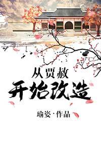 穿越红楼成为贾赦的父亲