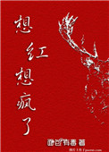 想红想疯了免费阅读
