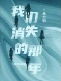 我们消失的那一年txt