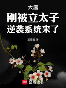 大唐:刚被立太子,逆袭系统来了65