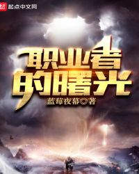 职业者的曙光txt下载