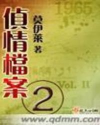 侦情档案二笔趣阁