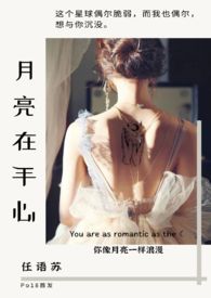 月亮在手心小说