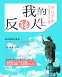 我的反转人生 小七子