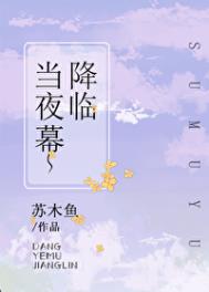 当夜幕降临苏木鱼txt