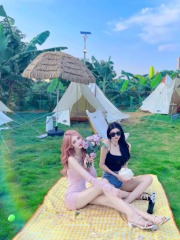 墙头红杏春意闹NP