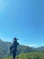 强欲之壶是什么