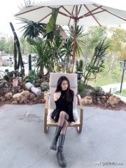 什么是海棠小说