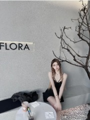 青龙图腾 第一卷