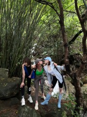 我对你倾心已久下一句