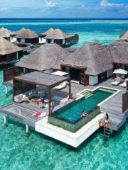 女王时代清洗液是洗什么的