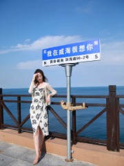 沙雕鲸落文案网站