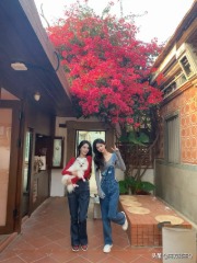 吟诗作对百度百科