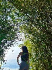 这令人头秃的糟心世界[穿书] 顾青词